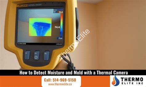 device to detect mold in walls|Why thermal imaging is essential for detecting .